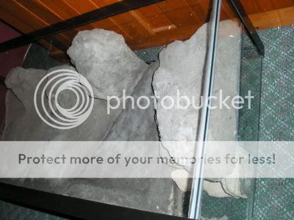 DIYBackground006.jpg