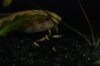 DSC_0109sm.jpg