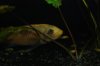 DSC_0110sm.jpg