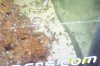 120 gallon fish pics and family pics 087.jpg