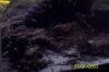 120 gallon fish pics and family pics 025.jpg