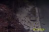 120 gallon fish pics and family pics 056.jpg