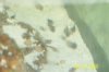 120 gallon fish pics and family pics 076.jpg
