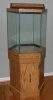 fishworld2 002.jpg fishworld2 002.jpg
