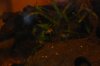 updates 029.jpg