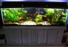Tank8 - 010110.jpg Tank8 - 010110.jpg