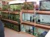 breedingsetup 005.jpg breedingsetup 005.jpg