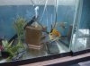 DSC00125.jpg