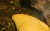 kolente eggs-1239.jpg