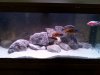 20140824_185307.jpg 20140824_185307.jpg