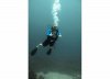 dive1.jpg dive1.jpg