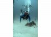 dive4.jpg dive4.jpg