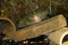 benitochromis-1433.jpg
