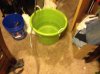 ImageUploadedByMonsterAquariaNetwork1411604452.239787.jpg ImageUploadedByMonsterAquariaNetwork1411604452.239787.jpg