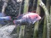 20130306_180949.jpg