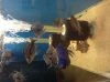 IMG_1089.jpg IMG_1089.jpg