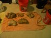 DSCN5195.jpg