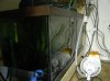 DSCN5207.jpg