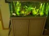 DSCN4853.jpg