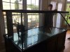 300 gallon and me 8:14.jpg 300 gallon and me 8:14.jpg