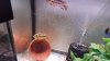 20150509_155023.jpg