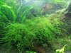 20150227_171700.jpg 20150227_171700.jpg