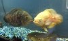 fish.jpg fish.jpg