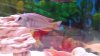 20151028_085755.jpg 20151028_085755.jpg