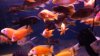 IMG_20160104_223920281.jpg
