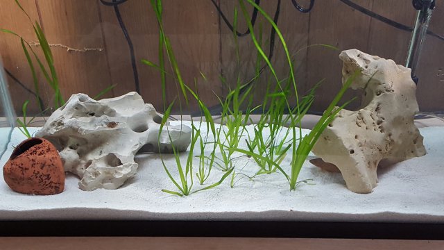 20161111_130505.jpg 20161111_130505.jpg
