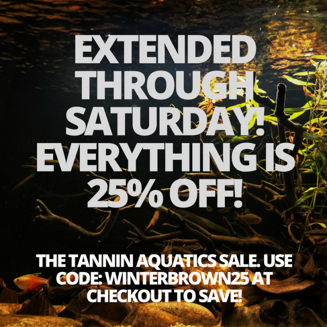 two more days.dozens of items.25% off-2.png two more days.dozens of items.25% off-2.png
