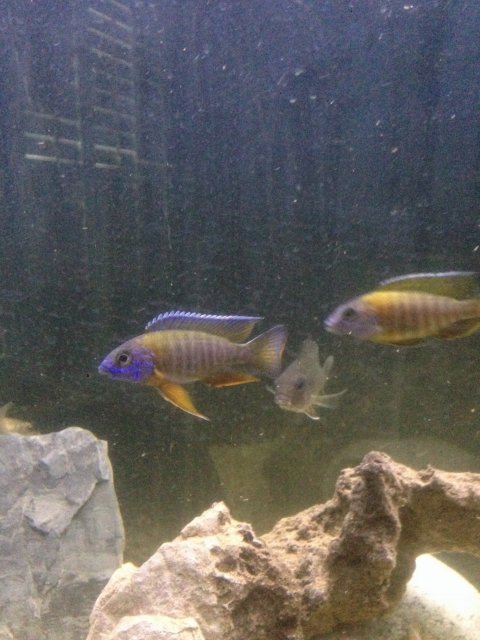 IMG_3057.JPG