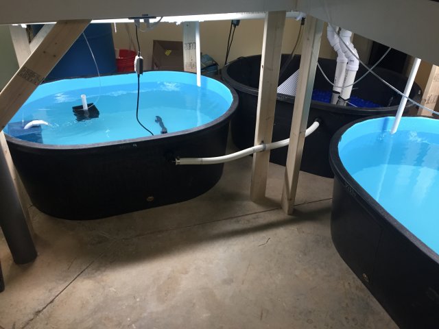2017-01-03 15.49.23.jpg 2017-01-03 15.49.23.jpg