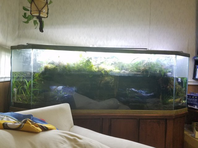 20170108_173523.jpg