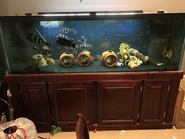 image1-7.JPG image1-7.JPG