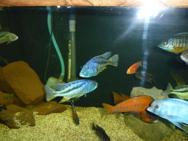 P1020126.JPG