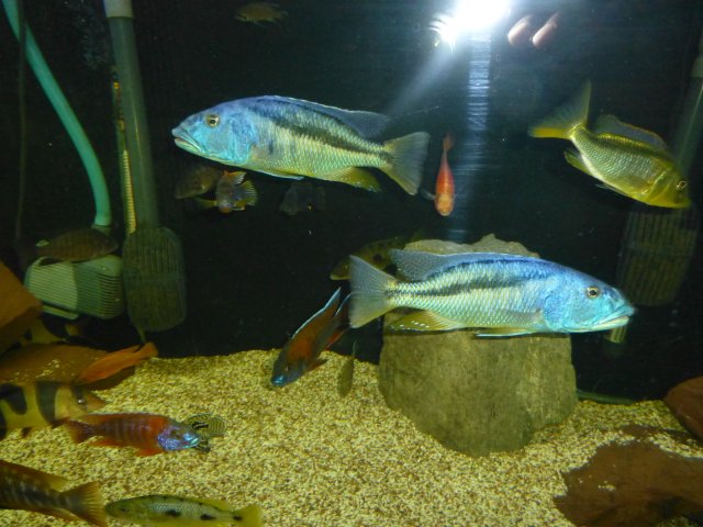 P1020128.JPG