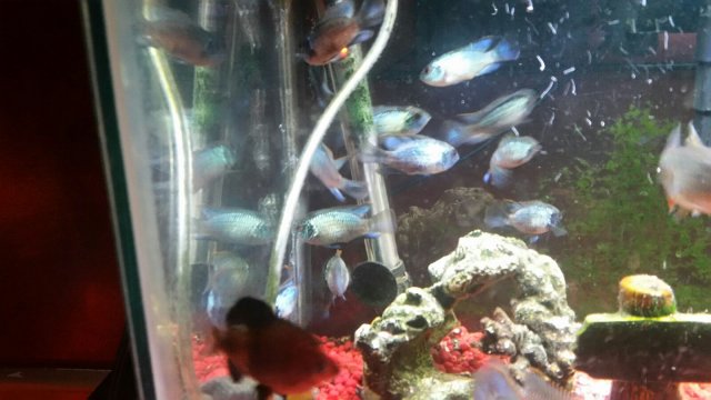 20170128_085217.jpg