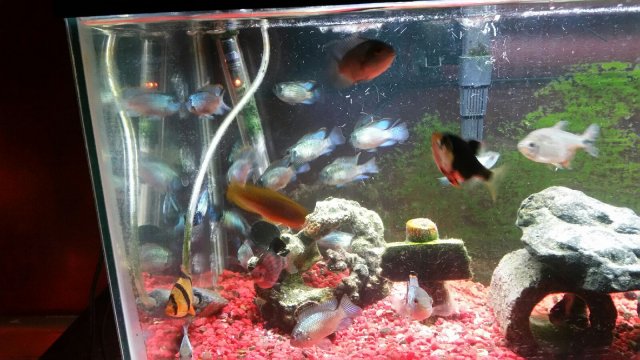 20170128_085228.jpg