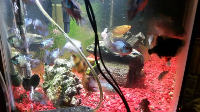 20170128_085245.jpg