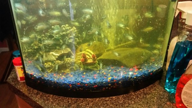 20170128_085516.jpg