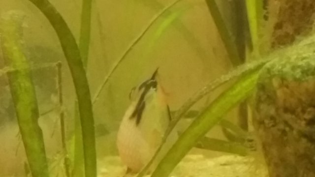 20170214_185230.jpg 20170214_185230.jpg