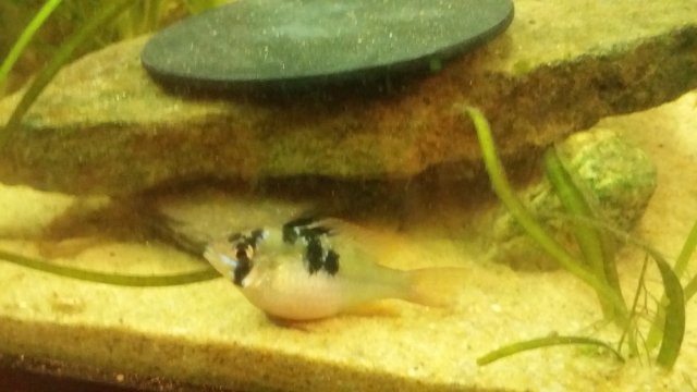 20170214_185216.jpg 20170214_185216.jpg