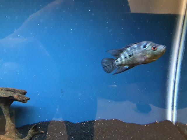 IMG_1077.JPG IMG_1077.JPG