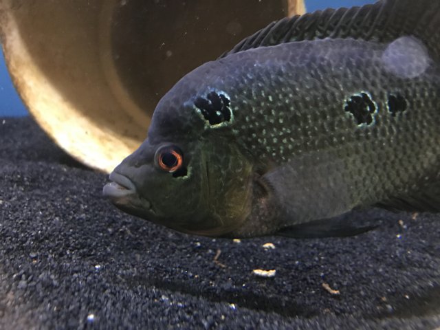 IMG_1473.JPG IMG_1473.JPG