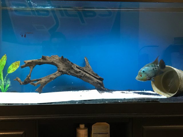 IMG_1634.JPG IMG_1634.JPG