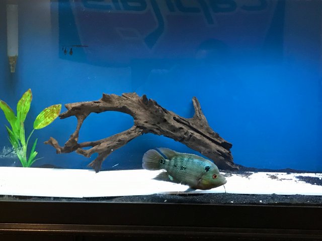 IMG_1638.JPG IMG_1638.JPG