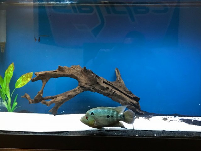 IMG_1643.JPG IMG_1643.JPG