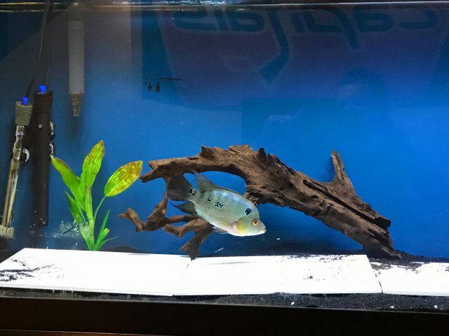 IMG_1647.JPG IMG_1647.JPG