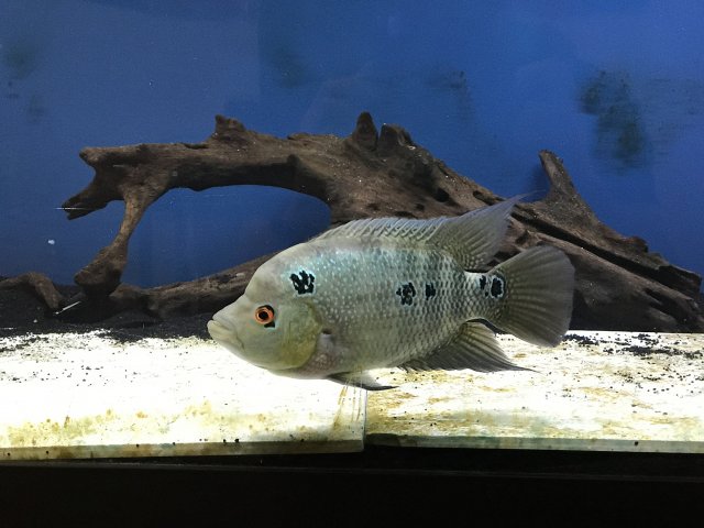 IMG_1791.jpg IMG_1791.jpg